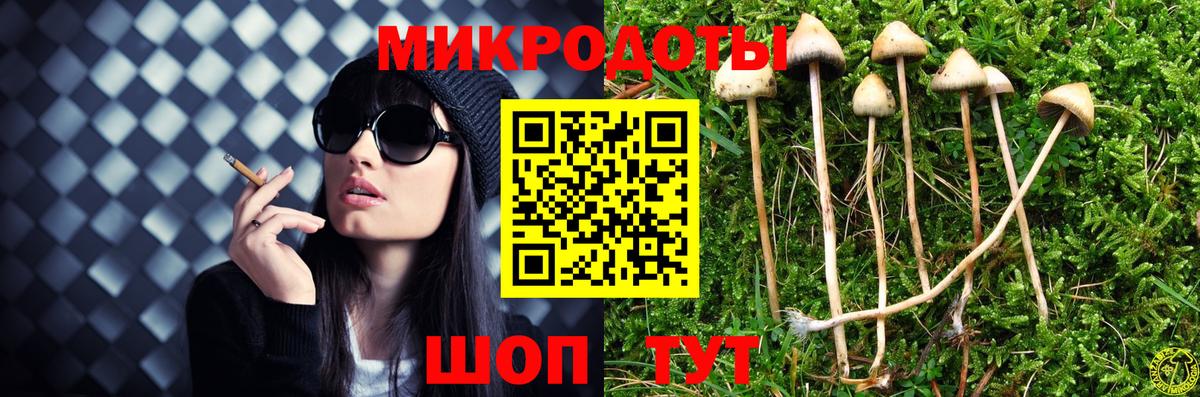 Галлюциногенные грибы Psilocybe  Вход с VPN  Новоуральск  Галлюциногенные грибы мицелий 