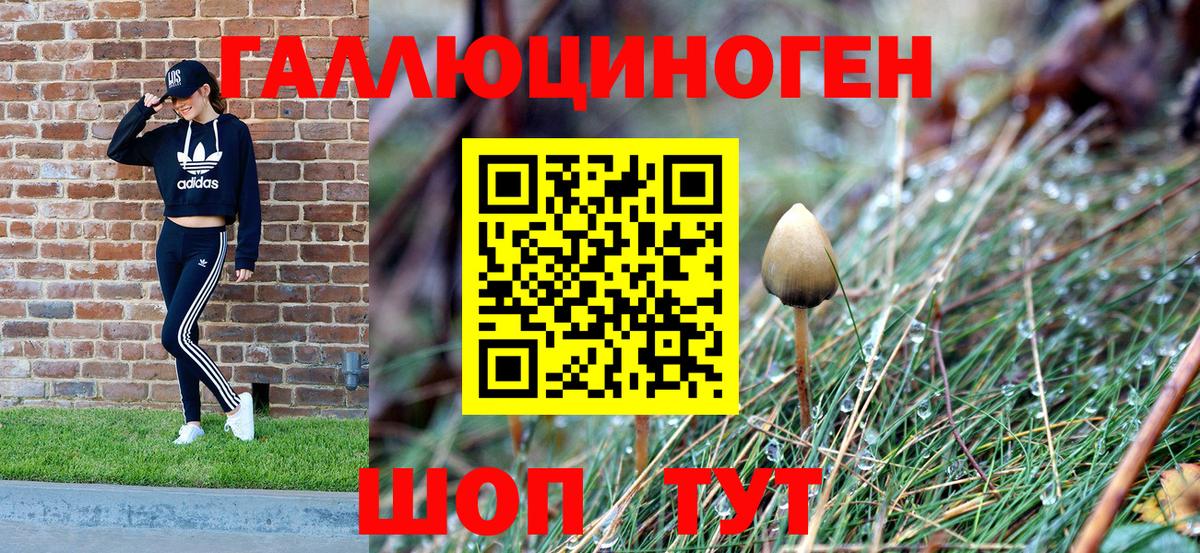 Псилоцибиновые грибы прущие грибы Новоуральск